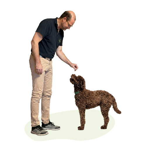 Tierarzt Thomas Koch mit einem Labradoodle